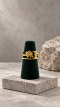 18K gold Symbol of Iran ring, US size 7.5